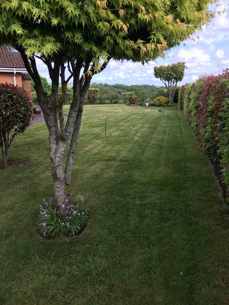 Striped lawn finish