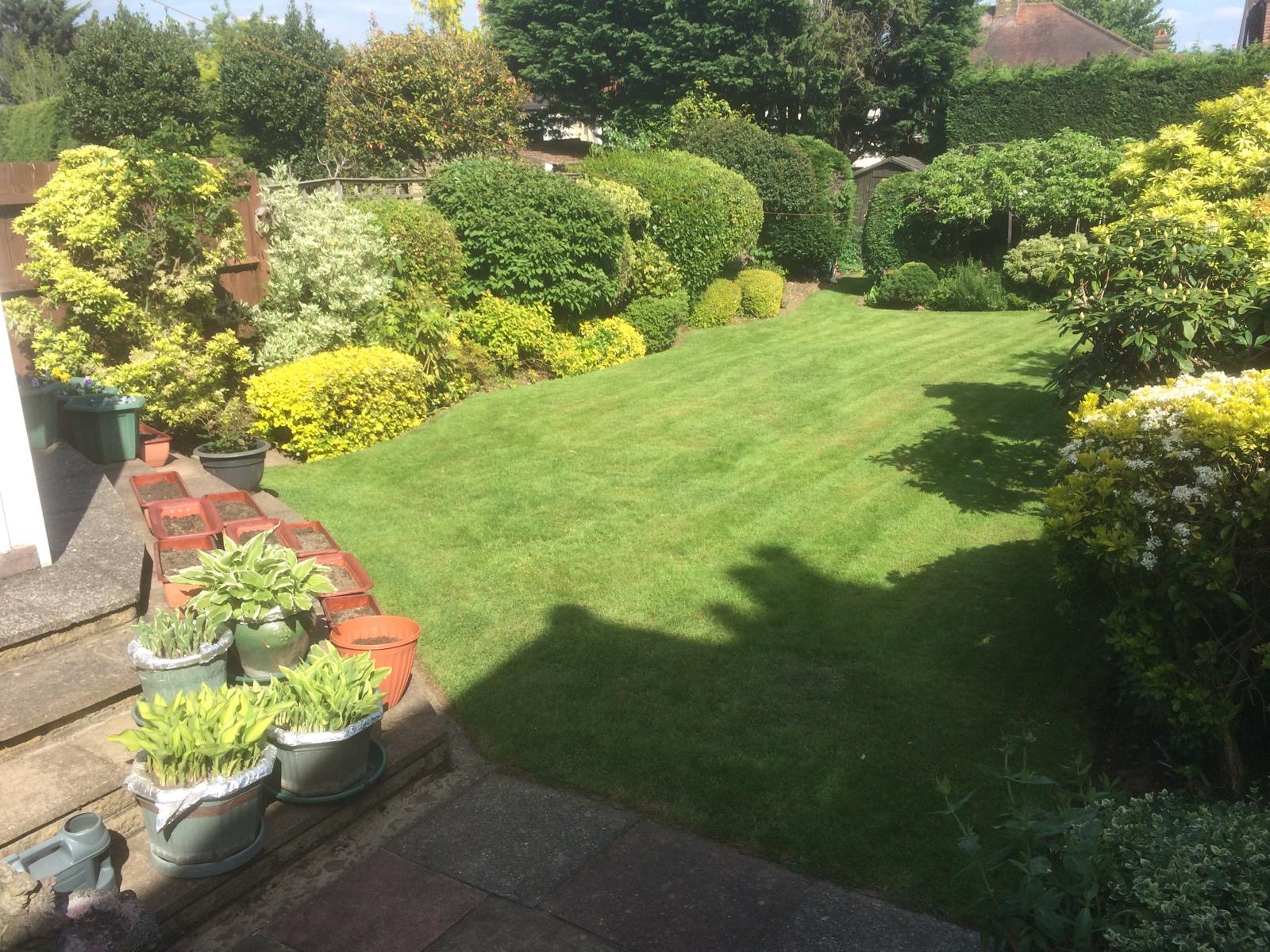 Striped lawn with mature shaped shrub borders