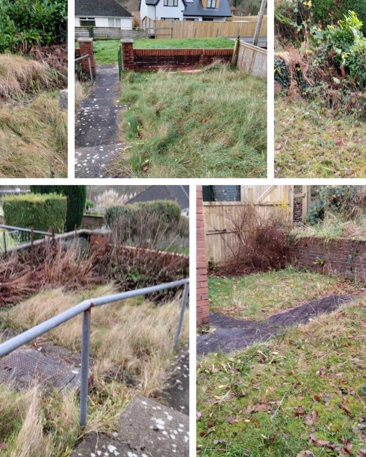 Overgrown garden before clearance — collage