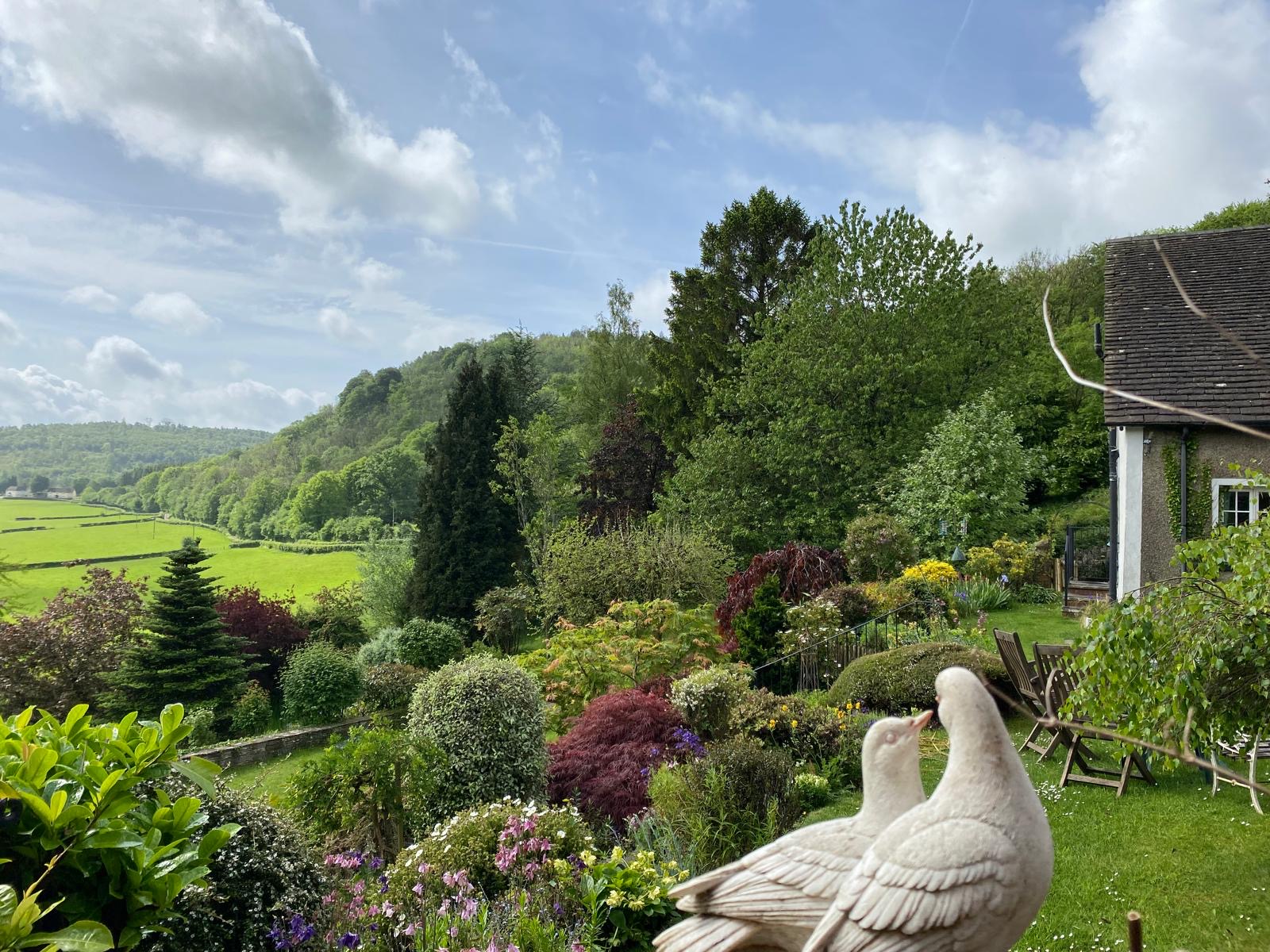 Country garden with valley views and mature planting