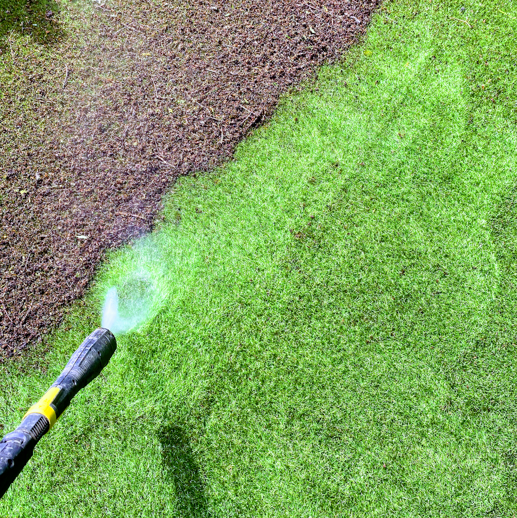 Lawn scarification revealing fresh green grass